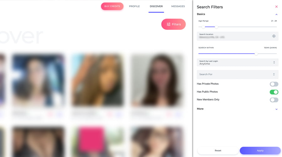 AshleyMadison Review Pricing Features Interface March 2024   Ashleymadison Search Filters 